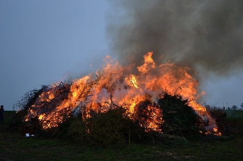 Foto: Frühlingsfeuer 23.4.16 