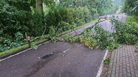 Foto: Einsatz 26.6.23