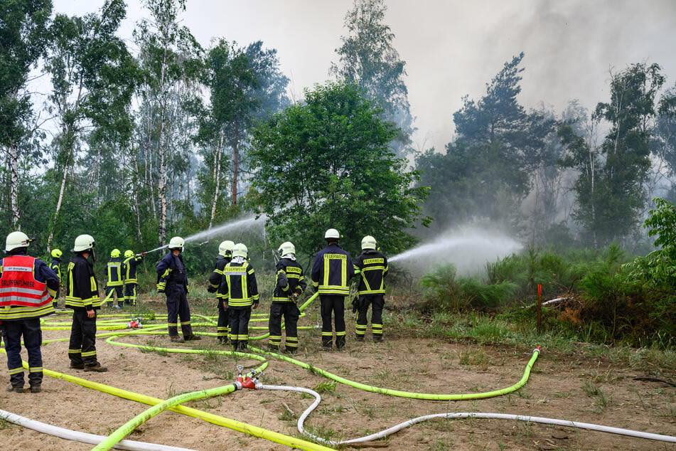 Einsatzfoto Gohrischheide
